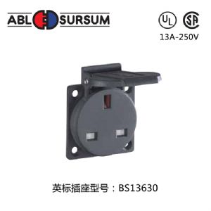 BS13630Ӣ�����