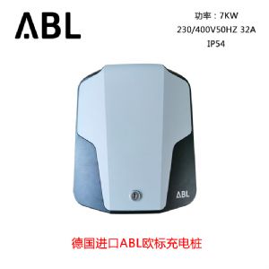 ���ڵ¹�ABL7KWŷ����׮